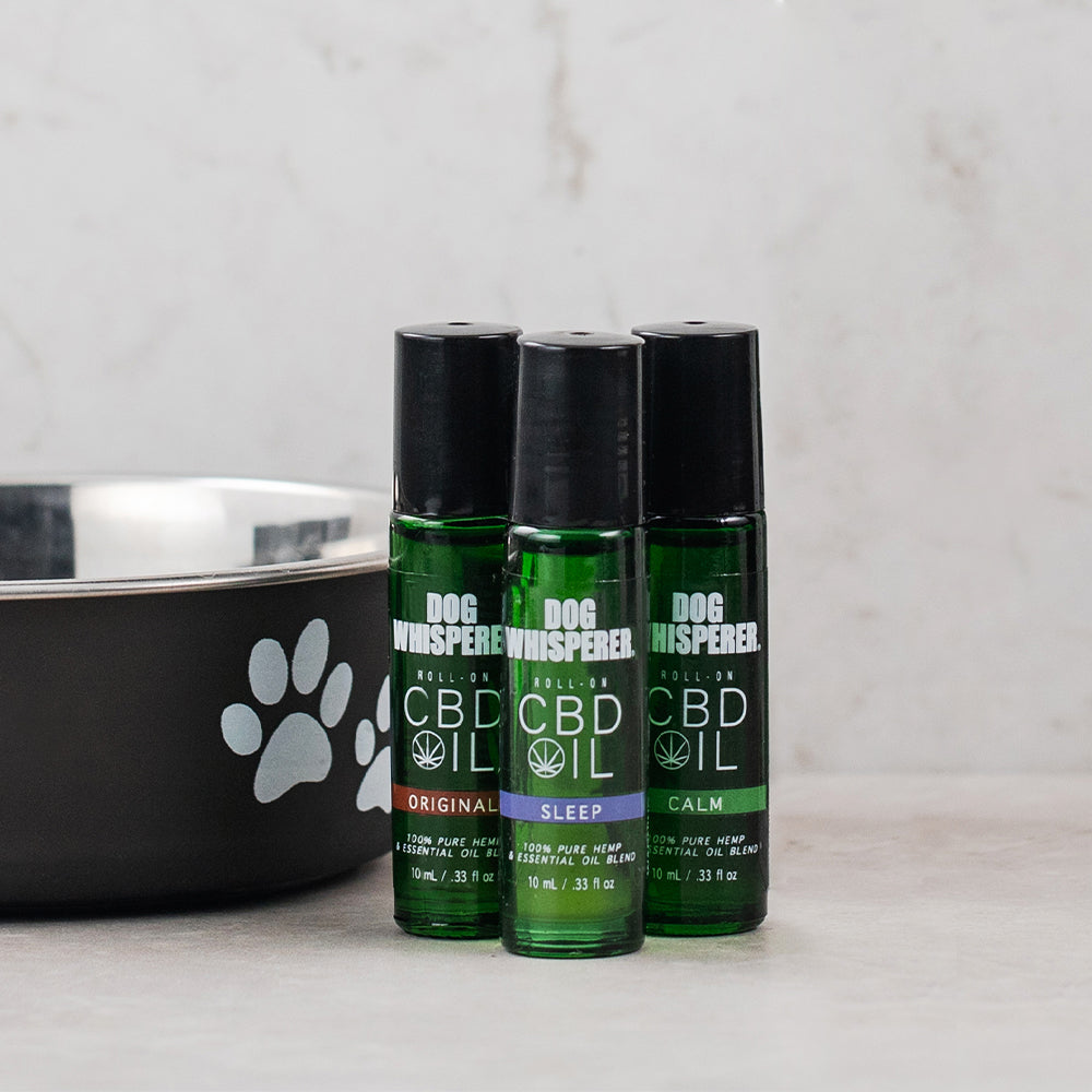 Sparoom CBD Pet Calm Roll On - 250 MG - 10 mL